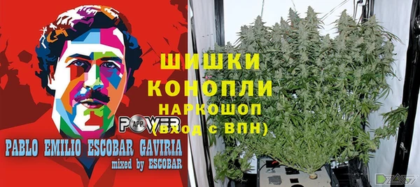 амф Костерёво