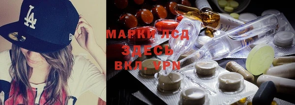 герыч Корсаков
