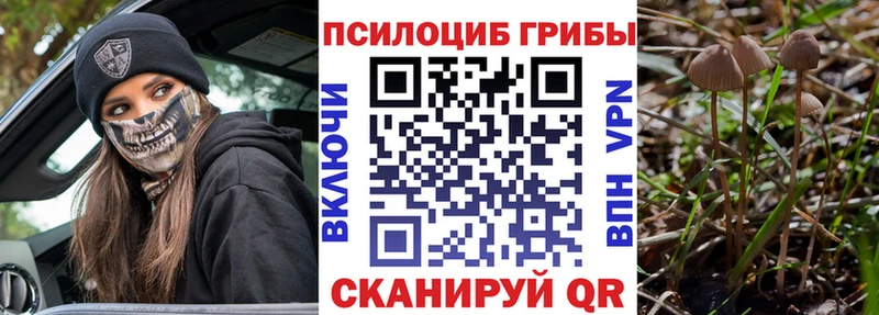 Купить закладки Похвистнево Псилоцибиновые грибы Psilocybe